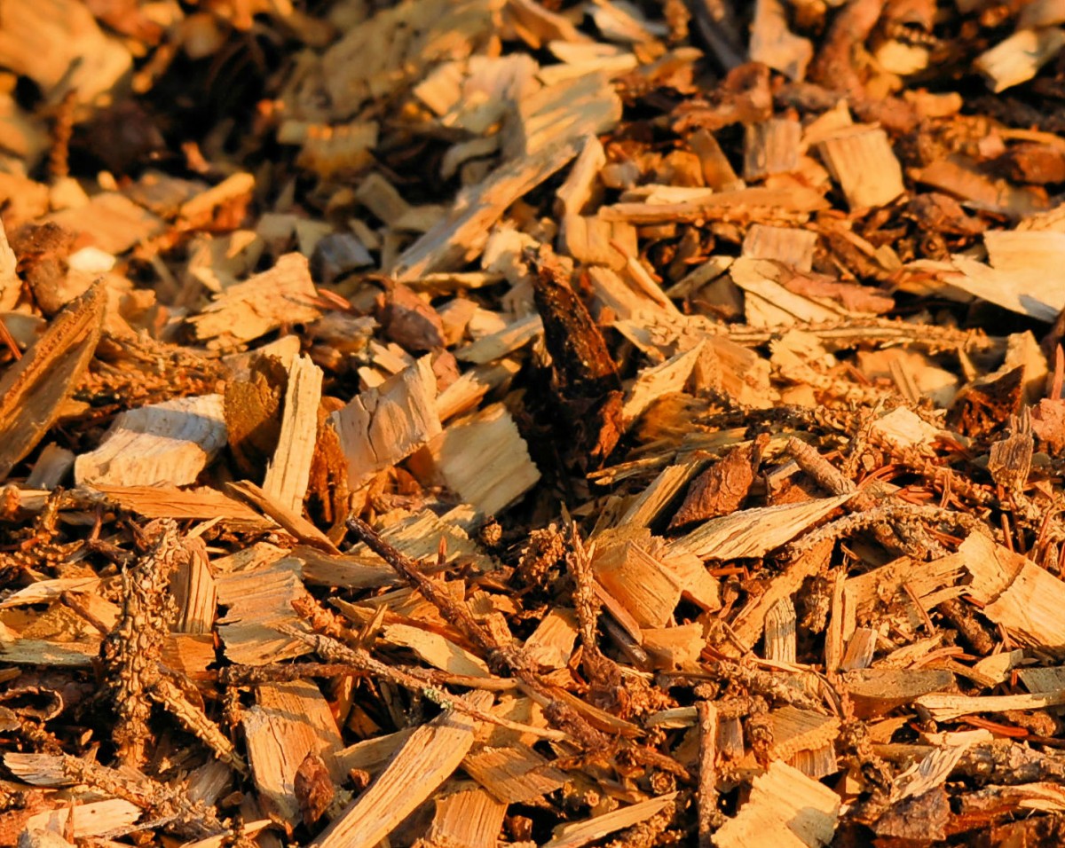 Riduzione emissioni delle caldaie a biomassa legnosa