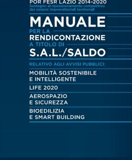 Manuale Rendicontazione Industria 4.0