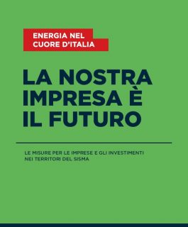 La Nostra Impresa è il Futuro – Vademecum