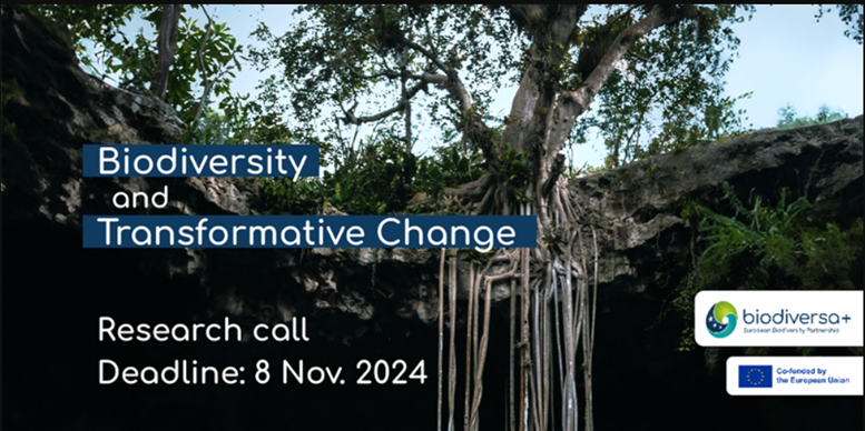 Banner call BIODIVERSA+, dettagli nell'articolo