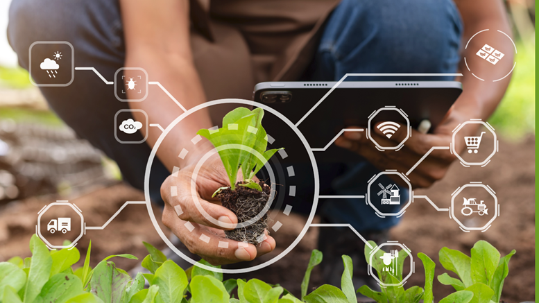 Agricoltura, seminari PSR Lazio - immagine decorativa