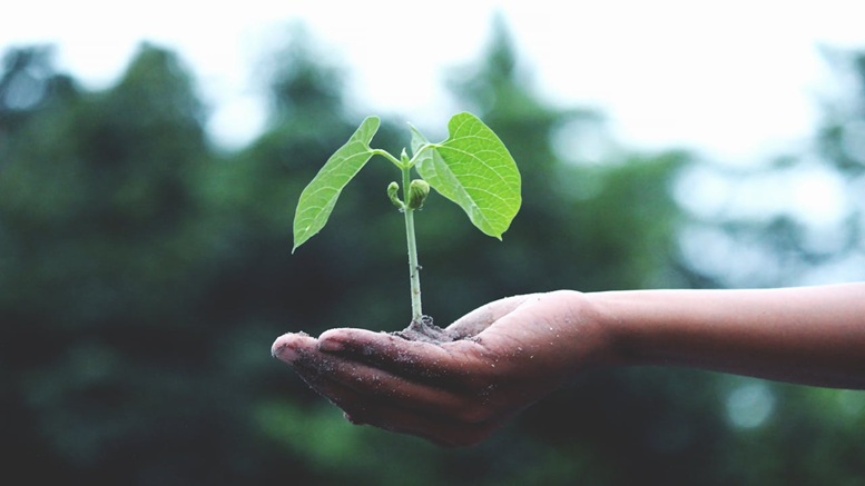 Il 5 e 6 novembre 2025 si terrà ad Aarhus, in Danimarca, la nuova edizione della European Mission Soil Week (EMSW)