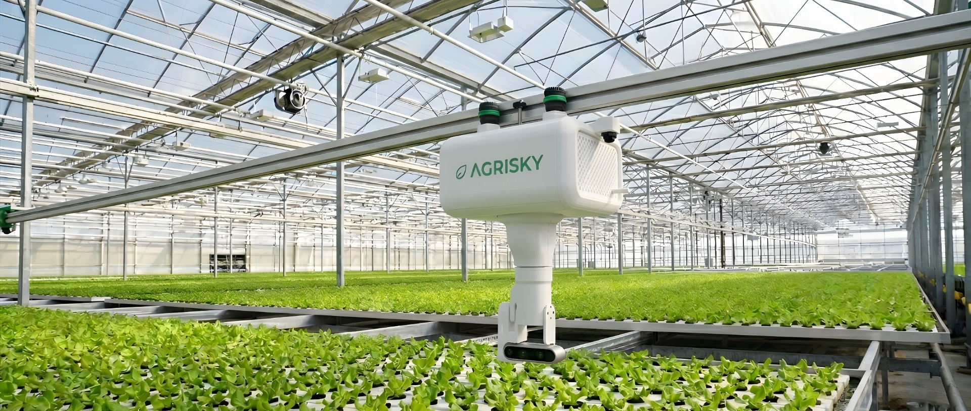 Foto del robot AGRI-EYE in una serra