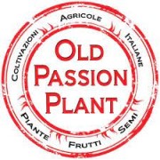 Old Passion Plant